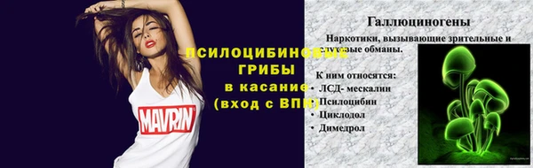 ПСИЛОЦИБИНОВЫЕ ГРИБЫ Михайловск