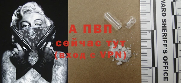 ПСИЛОЦИБИНОВЫЕ ГРИБЫ Михайловск