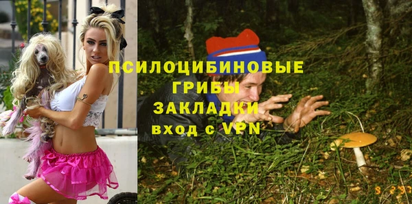 ПСИЛОЦИБИНОВЫЕ ГРИБЫ Михайловск